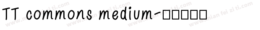 TT commons medium字体转换